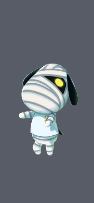 202110 2688-1242.jpg