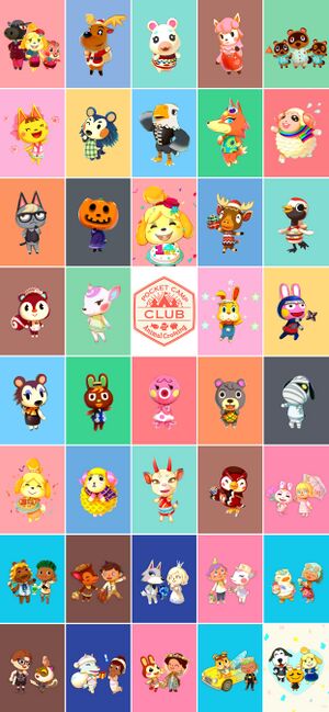 202410 2688-1242.jpg