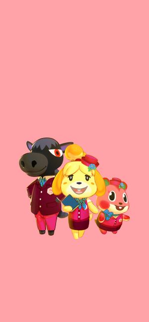 201911 2688-1242.jpg