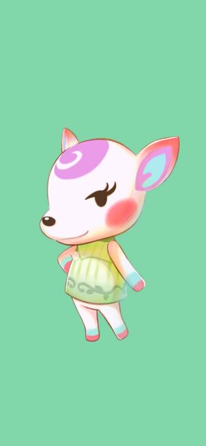 202103 2688-1242.jpg